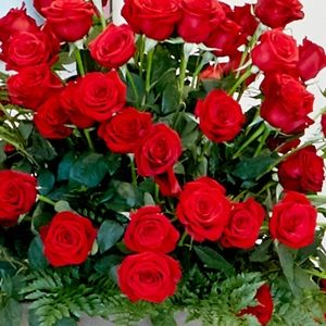 Meet your Posher, Fashion